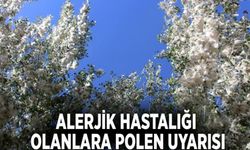 Alerjik hastalığı olanlara polen uyarısı...