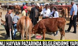 Büyükşehir canlı hayvan pazarında bilgilendirme yaptı
