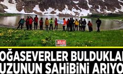 Doğaseverler buldukları kuzunun sahibini arıyor