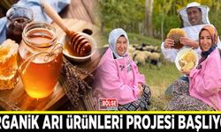 Gevaş ilçesinde organik arı ürünleri projesi başlıyor
