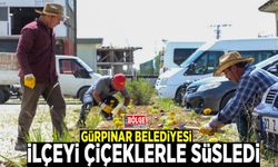 Gürpınar Belediyesi ilçeyi çiçeklerle süsledi