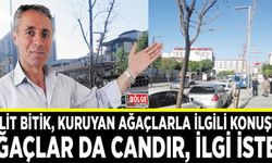 Halit Bitik, kuruyan ağaçlarla ilgili konuştu: Ağaçlar da candır, ilgi ister