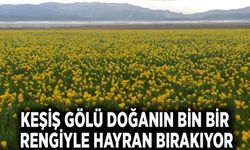 Keşiş Gölü doğanın bin bir rengiyle hayran bırakıyor