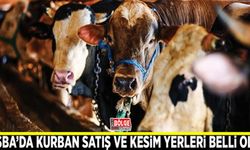 Tuşba’da kurban satış ve kesim yerleri belli oldu