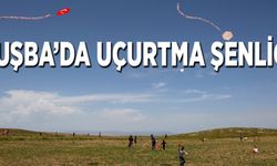 Tuşba’da yaz tatili öncesi uçurtma şenliği