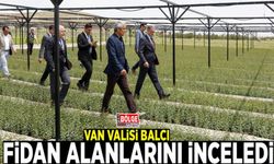 Vali Balcı, fidan alanlarını inceledi