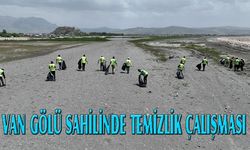 Van Gölü sahilinde temizlik çalışması