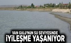 Van Gölü’nün su seviyesinde iyileşme yaşanıyor