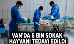 Van’da 6 bin sokak hayvanı tedavi edildi