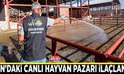 Van’daki canlı hayvan pazarı ilaçlandı