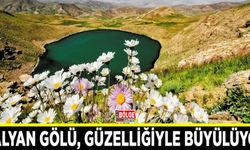 Çalyan Gölü, güzelliğiyle büyülüyor