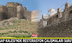 Hoşap Kalesi'nde restorasyon çalışmaları sürüyor