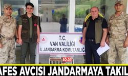 Kafes avcısı jandarmaya takıldı