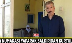 Ölü numarası yaparak saldırıdan kurtuldu