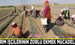 Tarım işçilerinin zorlu ekmek mücadelesi