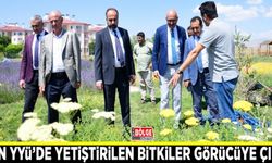 Van YYÜ’de yetiştirilen bitkiler görücüye çıktı
