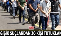 Van’da değişik suçlardan 30 kişi tutuklandı