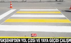 Büyükşehir'den yol çizgi ve yaya geçidi çalışması