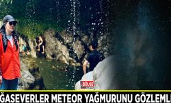 Doğaseverler meteor yağmurunu gözlemledi