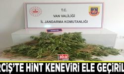 Erciş’te Hint keneviri ele geçirildi