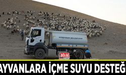 Hayvanlara içme suyu desteği…