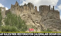 Hoşap Kalesi’nde restorasyon çalışmaları devam ediyor
