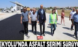 İpekyolu’nda asfalt serimi sürüyor