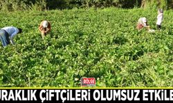 Kuraklık çiftçileri olumsuz etkiledi
