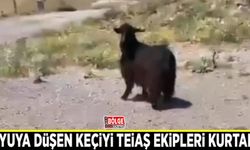 Kuyuya düşen keçiyi TEİAŞ ekipleri kurtardı