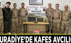 Muradiye'de kafes avcılığı