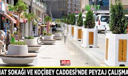 Sanat Sokağı ve Koçibey Caddesi'nde peyzaj çalışması…