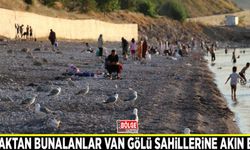 Sıcaktan bunalanlar Van Gölü sahillerine akın etti