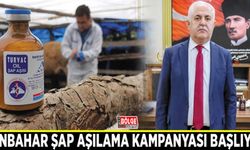 Sonbahar şap aşılama kampanyası başlıyor