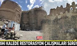 Tarihi kalede restorasyon çalışmaları sürüyor