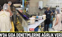 Van'da gıda denetimlerine ağırlık verildi