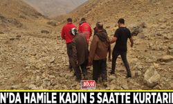Van'da hamile kadın 5 saatte kurtarıldı
