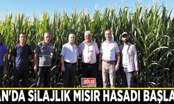 Van'da silajlık mısır hasadı başladı
