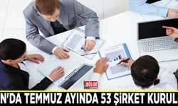 Van'da Temmuz ayında 53 şirket kuruldu