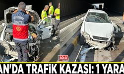 Van'da trafik kazası: 1 yaralı