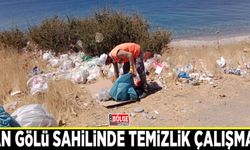 Van Gölü sahilinde temizlik çalışması