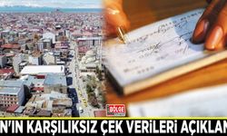Van'ın karşılıksız çek verileri açıklandı
