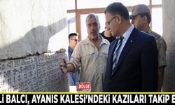 Van Valisi Balcı, Ayanıs Kalesi'ndeki kazıları takip etti