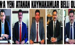 Van’a yeni atanan kaymakamlar belli oldu