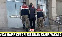 Van’da hapis cezası bulunan organizatör yakalandı