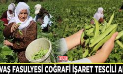 Gevaş fasulyesi coğrafi işaret tescili aldı