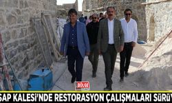 Hoşap Kalesi'nde restorasyon çalışmaları sürüyor