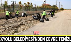 İpekyolu Belediyesi'nden çevre temizliği