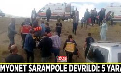 Kamyonet şarampole devrildi: 5 yaralı