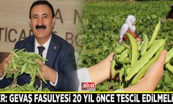 Süer: Gevaş fasulyesi 20 yıl önce tescil edilmeliydi