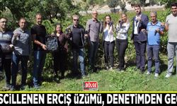 Tescillenen Erciş Üzümü, denetimden geçti
